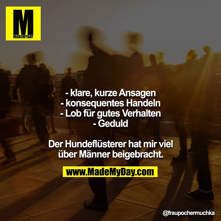 - klare, kurze Ansagen<br />
- konsequentes Handeln<br />
- Lob für gutes Verhalten<br />
- Geduld<br />
<br />
Der Hundeflüsterer hat mir viel über Männer beigebracht.