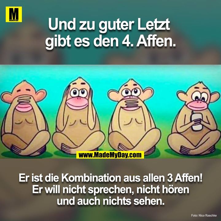 Und zu guter letzt ist der 4. Affe auch da.<br />
Er ist die Kombination von allen vier! Er will nicht sprechen, nicht hören und auch nichts sehen.