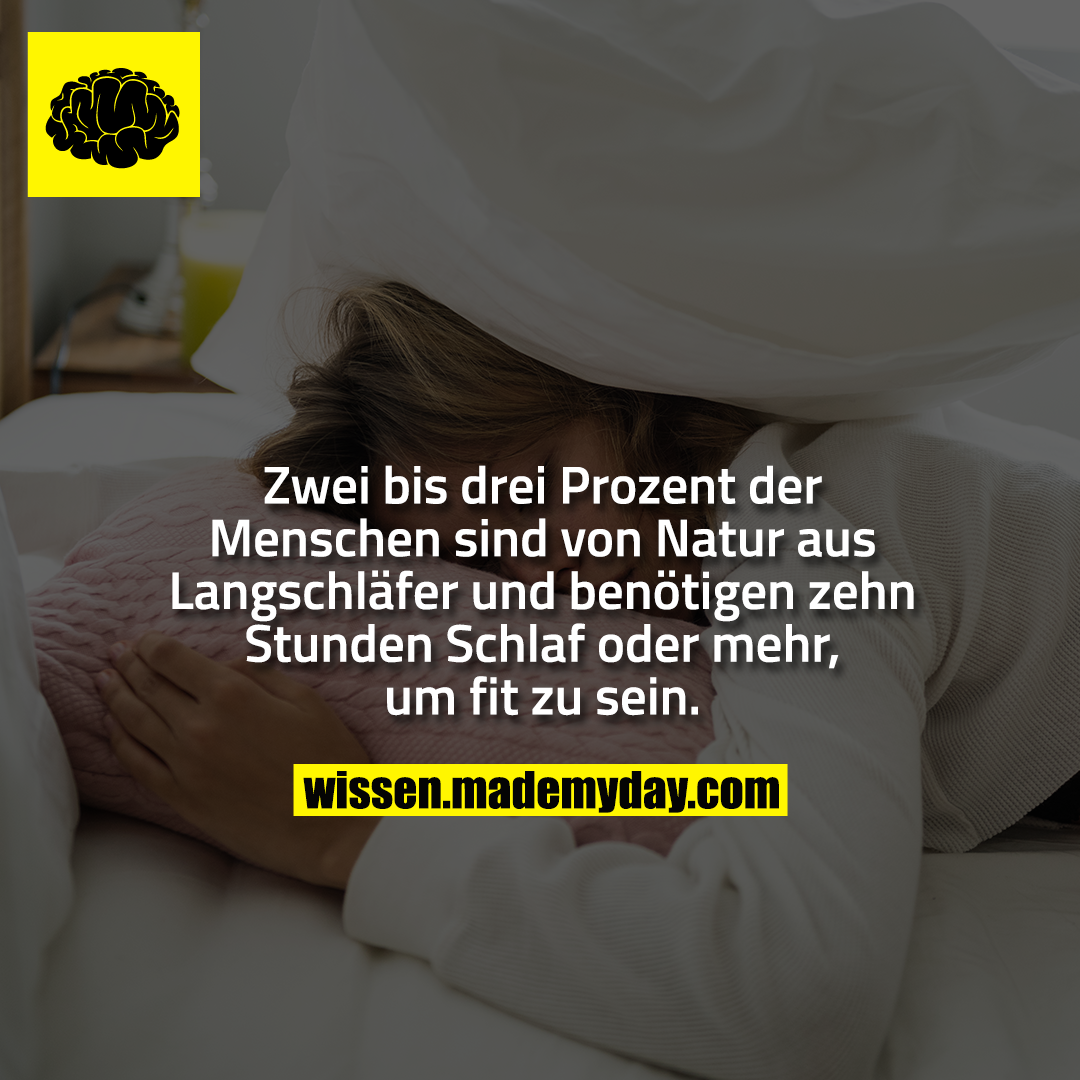 Zwei bis drei Prozent der Menschen sind von Natur aus Langschläfer und benötigen zehn Stunden Schlaf oder mehr, um fit zu sein.