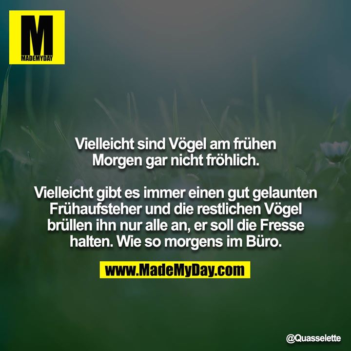 Vielleicht sind Vögel am frühen Morgen gar nicht fröhlich.<br />
<br />
Vielleicht gibt es immer einen gut gelaunten Frühaufsteher und die restlichen Vögel brüllen ihn nur alle an, er soll die Fresse halten. Wie so morgens im Büro.