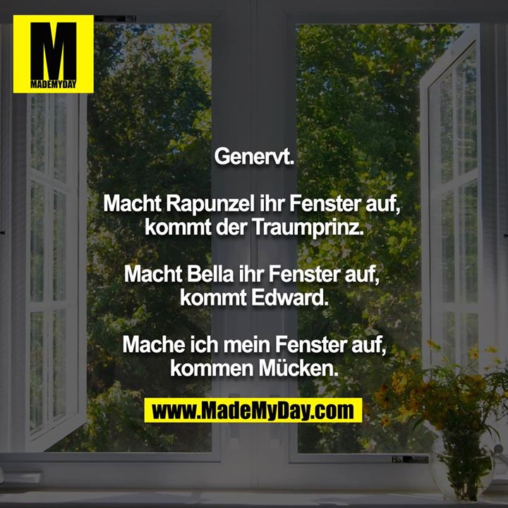 Genervt.<br />
<br />
Macht Rapunzel ihr Fenster auf, kommt der Traumprinz.<br />
<br />
Macht Bella ihr Fenster auf,  kommt Edward.<br />
<br />
Mache ich mein Fenster auf, kommen Mücken.