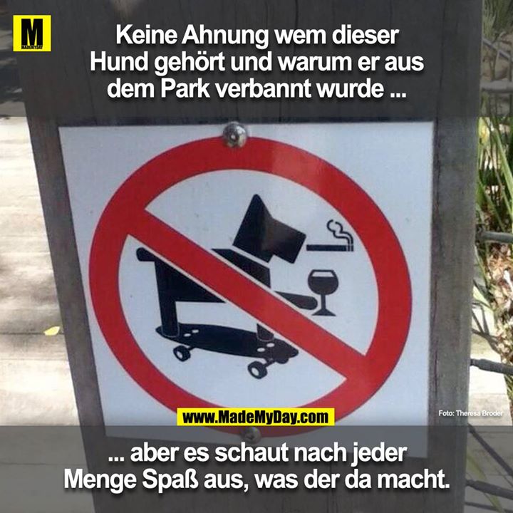 Keine Ahnung wem dieser Hund gehört und warum er aus dem Park verbannt wurde ...<br />
... aber es schaut nach jeder Menge Spass aus, was der da macht.