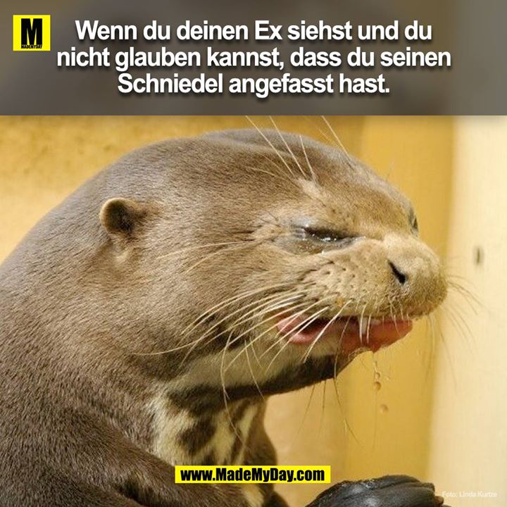 Wenn du deinen Ex siehst und du nicht glauben kannst, dass du seinen Schniedel angefasst hast.