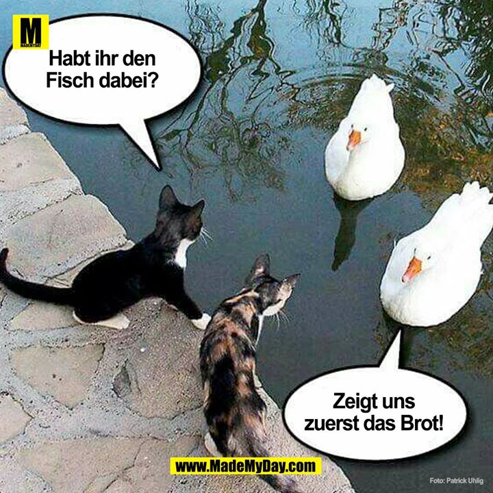 Habt ihr den Fisch dabei!?<br />
<br />
Zeigt uns zuerst das Brot!