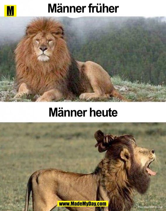 Manner Fruher Vs Manner Heute Made My Day