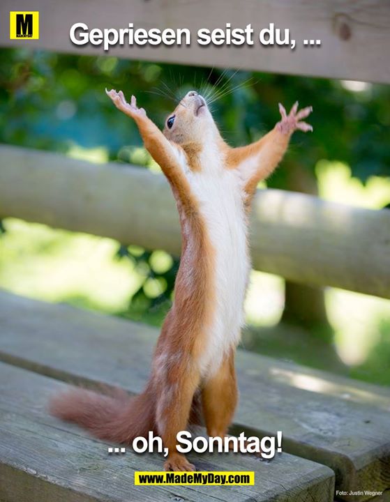 Gepriesen seist du, ...<br />
... oh, Sonntag!
