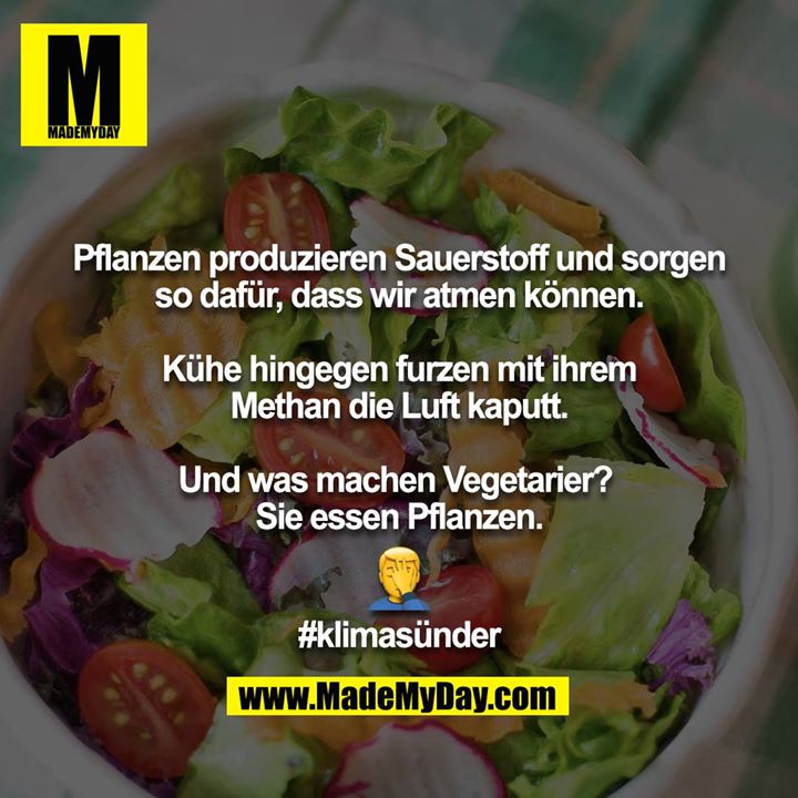 Pflanzen produzieren Sauerstoff und sorgen so dafür, dass wir atmen können.<br />
<br />
Kühe hingegen furzen mit ihrem Methan die Luft kaputt.<br />
<br />
Und was machen Vegetarier?  Sie essen Pflanzen.<br />
?<br />
#klimasünder