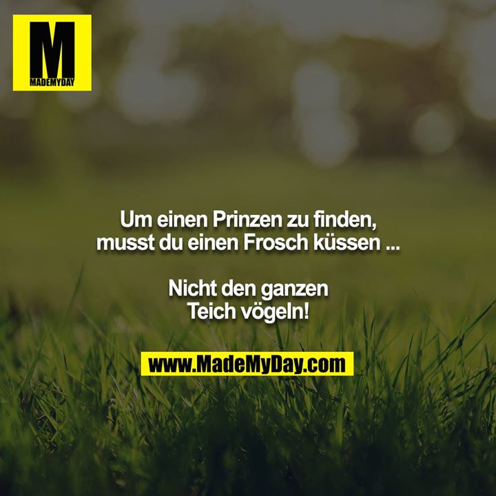 Um einen Prinzen zu finden, musst du einen Frosch küssen ...<br />
<br />
Nicht den ganzen Teich vögeln!