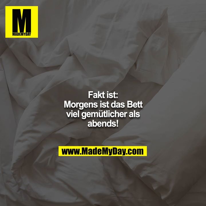 Fakt ist: Morgens ist das Bett viel gemütlicher als abends!