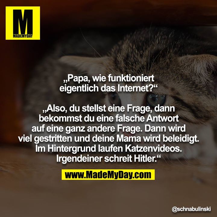 „Papa, wie funktioniert eigentlich das Internet?“<br />
<br />
„Also, du stellst eine Frage, dann bekommst du eine falsche Antwort auf eine ganz andere Frage. Dann wird viel gestritten und deine Mama wird beleidigt. Im Hintergrund laufen Katzenvideos. Irgendeiner schreit Hitler.“