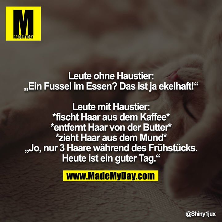 Leute ohne Haustier: <br />
„Ein Fussel im Essen? Das ist ja ekelhaft!“ <br />
<br />
Leute mit Haustier: <br />
*fischt Haar aus dem Kaffee* <br />
*entfernt Haar von der Butter* <br />
*zieht Haar aus dem Mund* <br />
„Jo, nur 3 Haare während des Frühstücks. <br />
Heute ist ein guter Tag.“