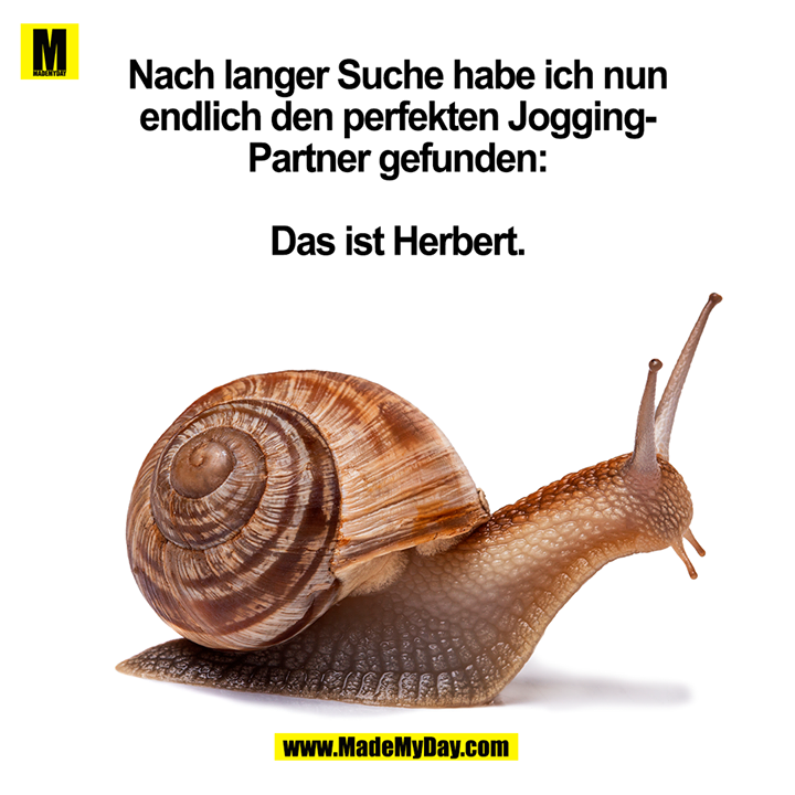 Nach langer Suche habe ich nun endlich den perfekten Jogging-Partner gefunden: Das ist Herbert.