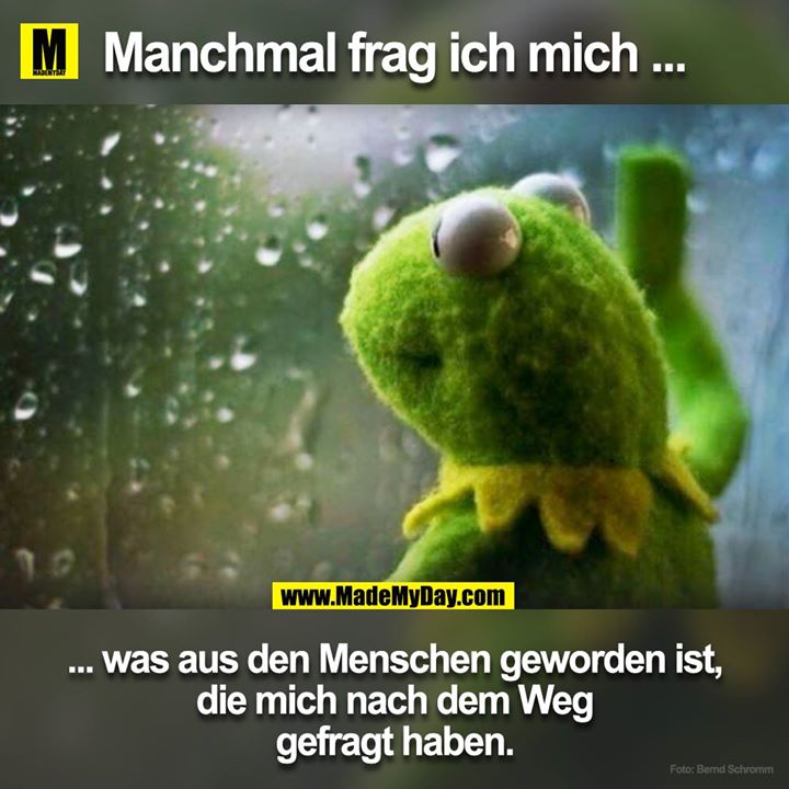 48++ Spruch lustig kermit der frosch , Made My Day