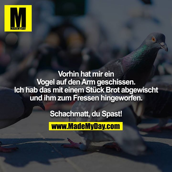 Vorhin hat mir ein Vogel auf den Arm geschissen. Ich hab das mit einem Stück Brot abgewischt und ihm zum Fressen hingeworfen.<br />
<br />
Schachmatt, du Spast!