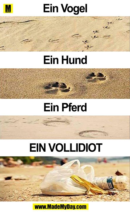 Ein Vogel<br />
Ein Hund<br />
Ein Pferd<br />
Ein Vollidiot