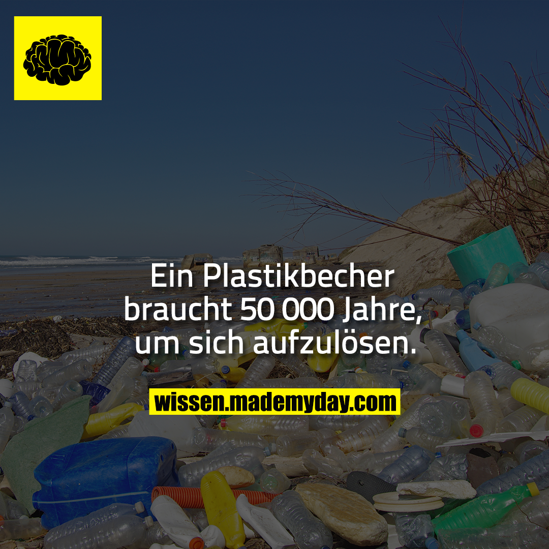 Ein Plastikbecher braucht 50 000 Jahre, um sich aufzulösen.