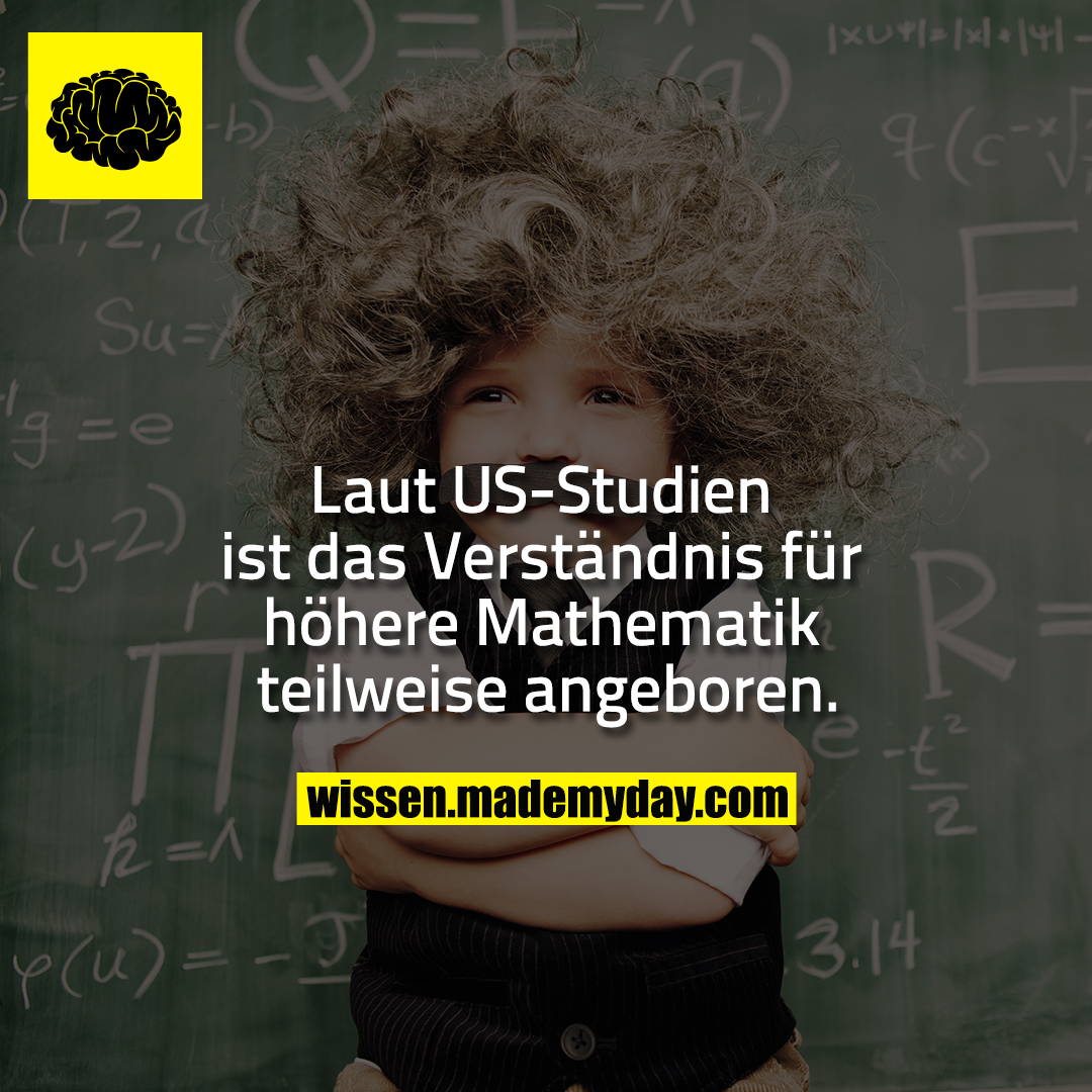 Laut US-Studien ist das Verständnis für höhere Mathematik teilweise angeboren.