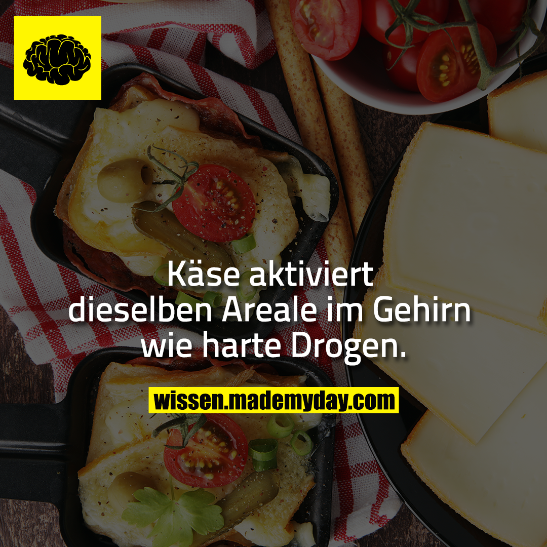 Käse aktiviert dieselben Areale im Gehirn wie harte Drogen.