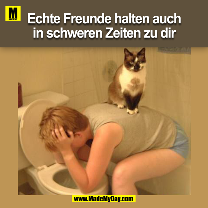 Echte Freunde halten auch<br />
in schweren Zeiten zu dir