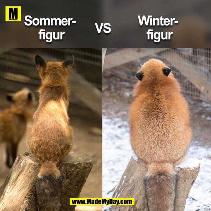 Sommer- <br />
figur<br />
<br />
vs. <br />
<br />
Winter-<br />
figur