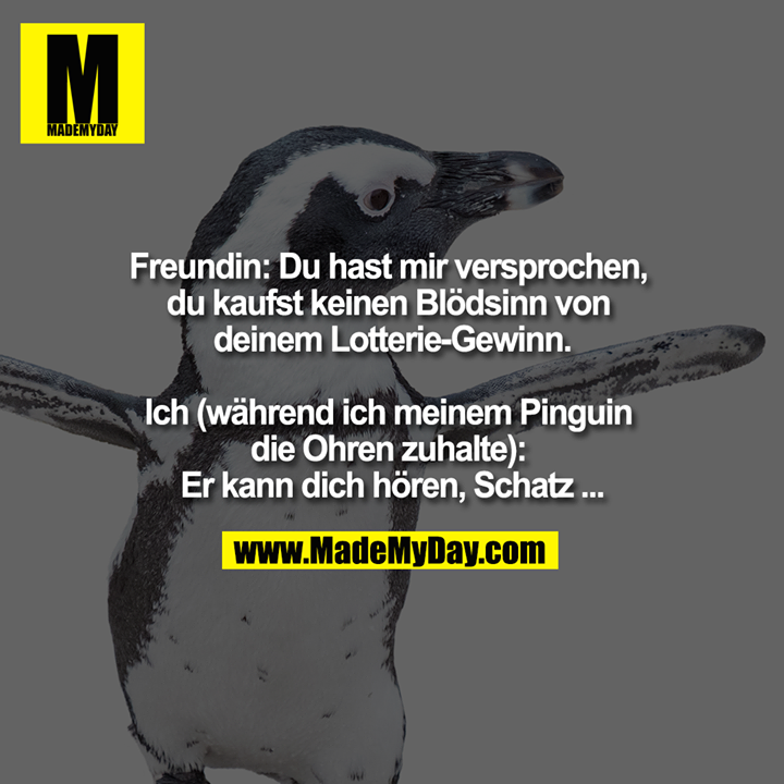 Freundin: Du hast mir versprochen, du kaufst keinen Blödsinn von deinem Lotterie-Gewinn.<br />
<br />
Ich (während ich meinem Pinguin die Ohren zuhalte): Er kann dich hören, Schatz ...