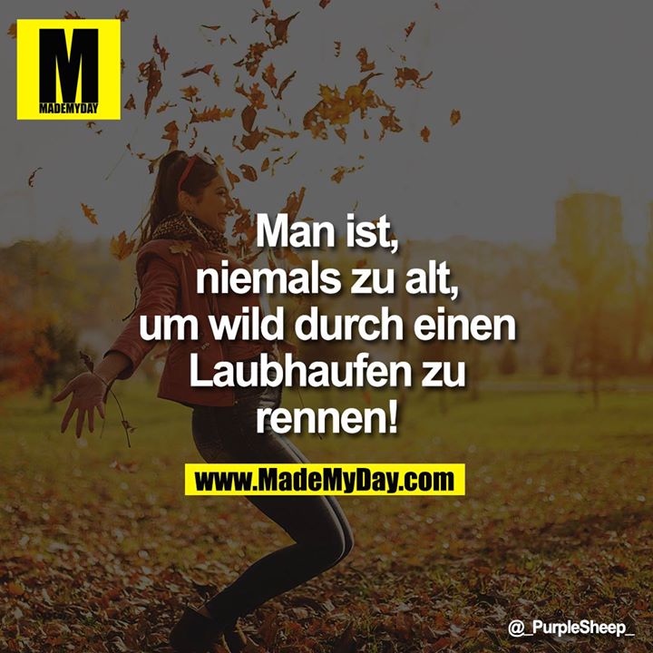 Man ist<br />
niemals zu alt,<br />
um wild durch einen<br />
Laubhaufen zu<br />
rennen!