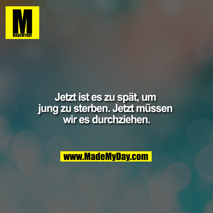 Jetzt ist es zu spät, um jung zu sterben. Jetzt müssen wir es durchziehen.