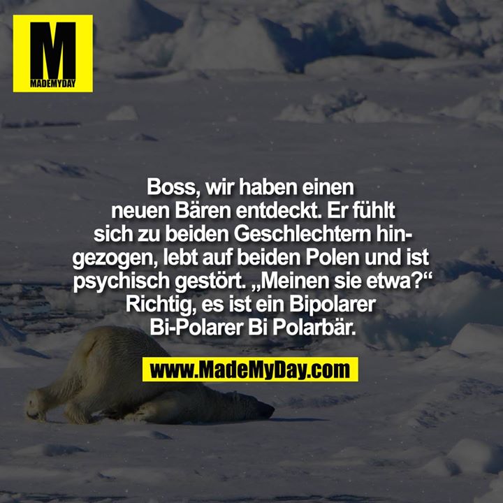 Boss, wir haben einen neuen Bären entdeckt. Er ist zu beiden Geschlechtern hingezogen, lebt auf beiden Polen und ist psychisch gestört. „Meinen sie etwa?“<br />
Richtig, es ist ein Bipolarer Bi-Polarer Bi Polarbär.