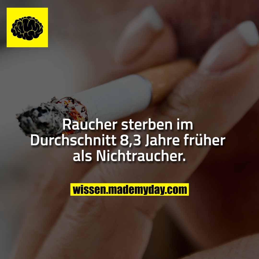 Raucher sterben im Durchschnitt 8,3 Jahre früher als Nichtraucher.