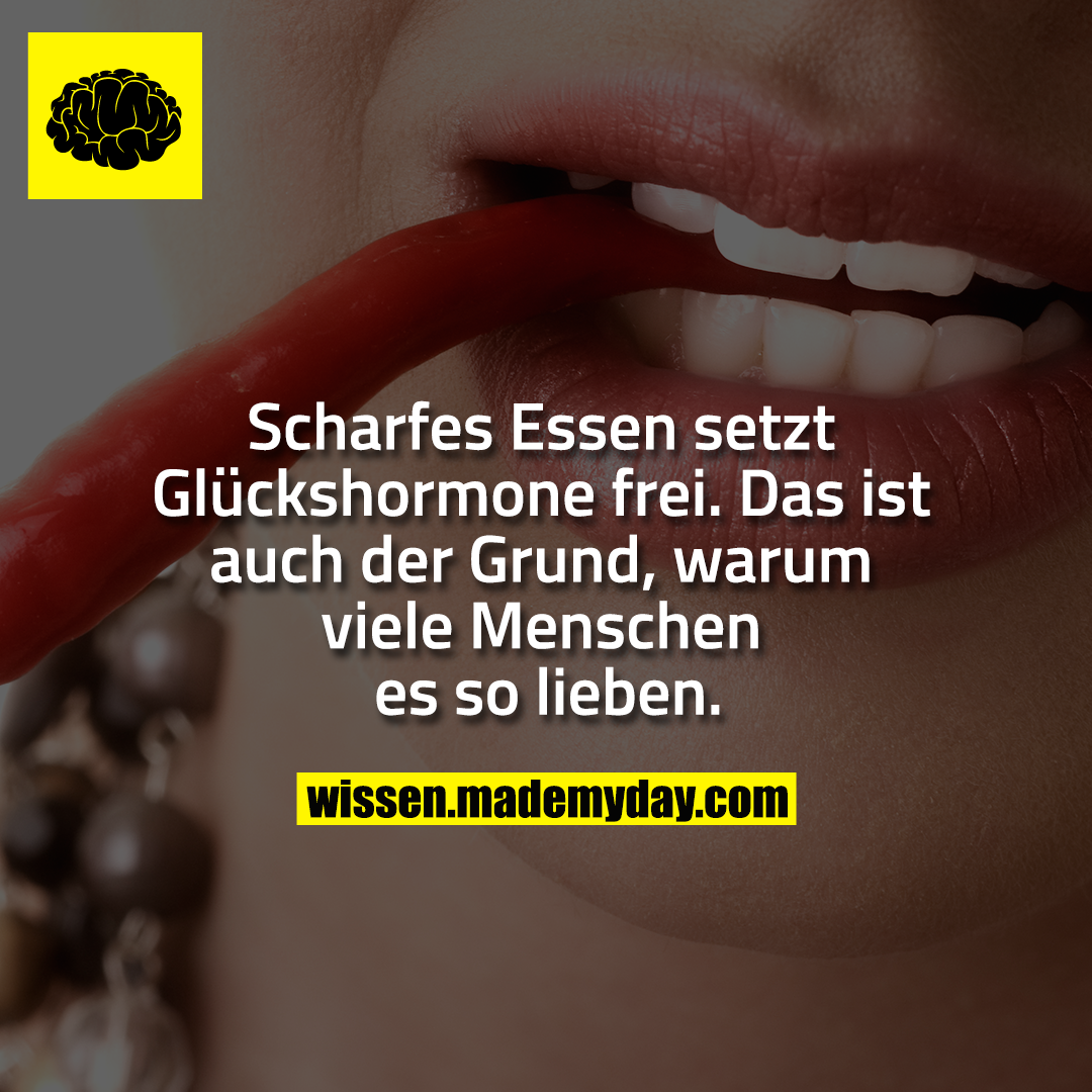 Scharfes Essen setzt Glückshormone frei. Das ist auch der Grund, warum viele Menschen es so lieben.