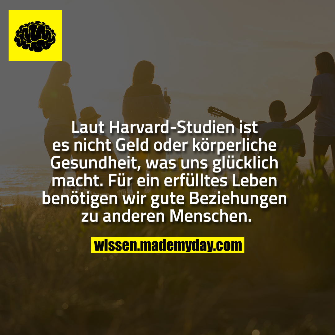 Laut Harvard-Studien ist es nicht Geld oder körperliche Gesundheit, was uns glücklich macht. Für ein erfülltes Leben benötigen wir gute Beziehungen zu anderen Menschen.
