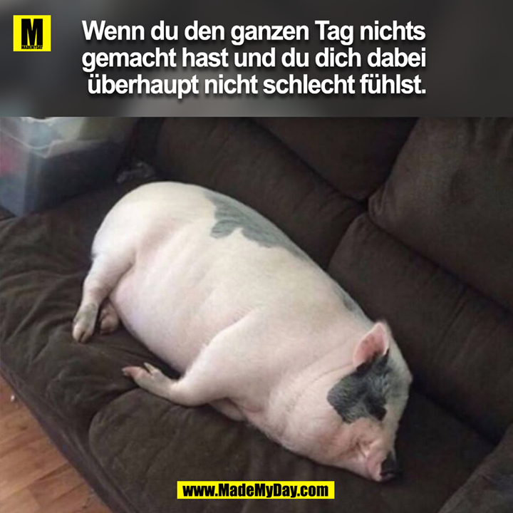 Wenn du den ganzen Tag nichts gemacht hast und du dich dabei überhaupt nicht schlecht fühlst.<br />
