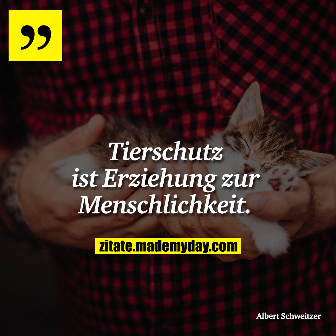 Tierschutz ist Erziehung zur Menschlichkeit.