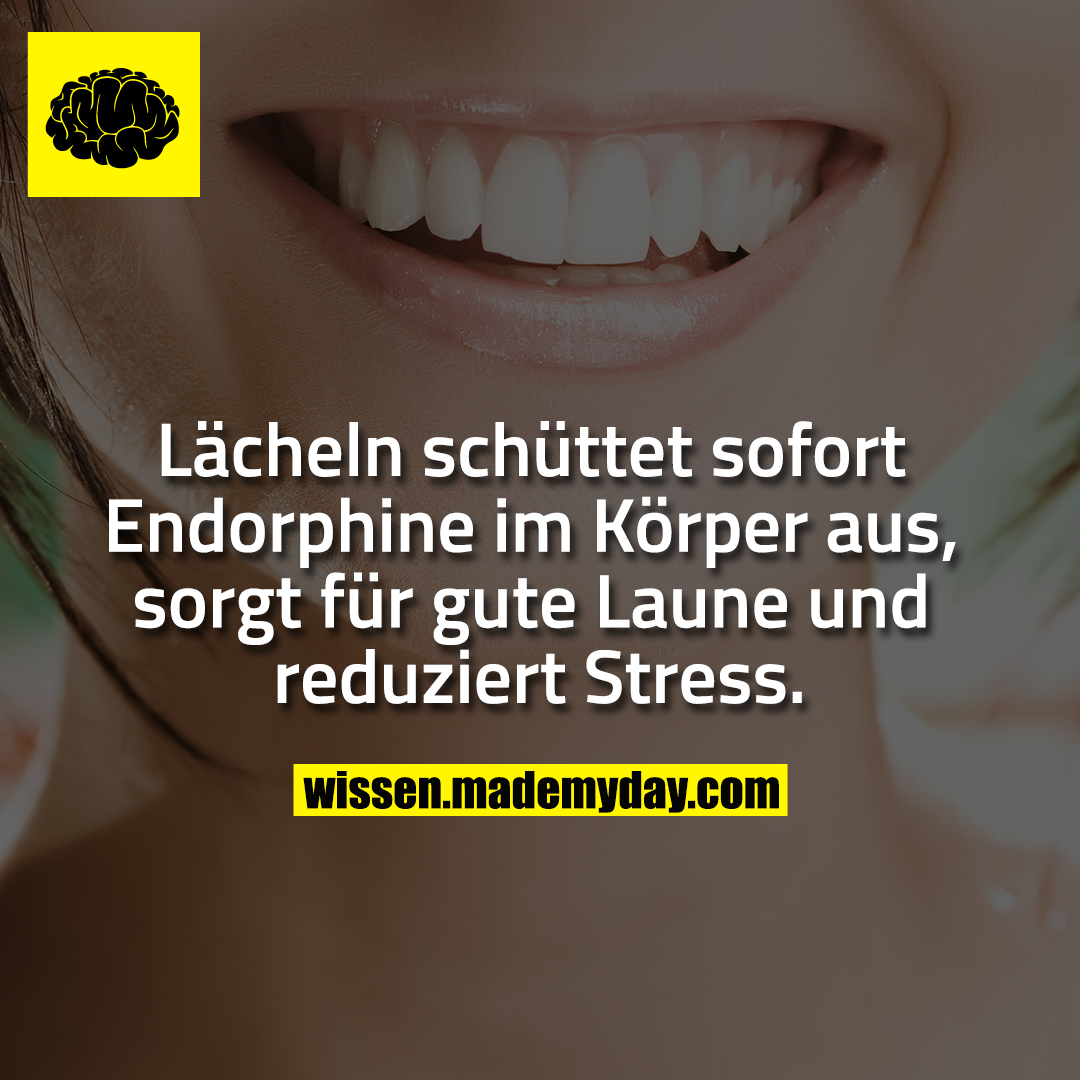 Lächeln schüttet sofort Endorphine im Körper aus, sorgt für gute Laune und reduziert Stress.