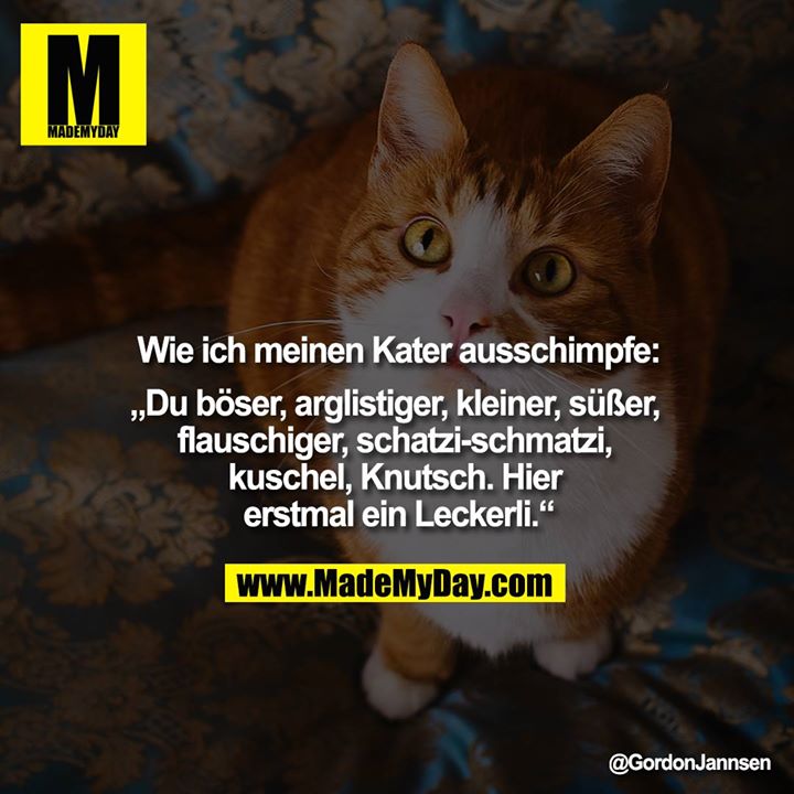 Wie ich meinen Kater ausschimpfe:<br />
„Du böser, arglistiger, kleiner, süßer, flauschiger, schatzi-schmatzi, kuschel, Knutsch. Hier erstmal ein Leckerli.“