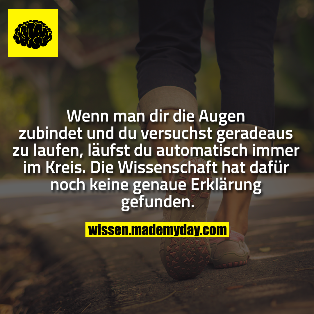 Wenn man dir die Augen zubindet und du versuchst geradeaus zu laufen, läufst du automatisch immer im Kreis. Die Wissenschaft hat dafür noch keine genaue Erklärung gefunden.