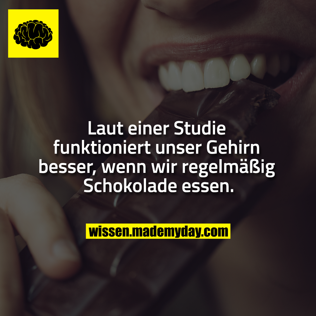 Laut einer Studie funktioniert unser Gehirn besser, wenn wir regelmäßig Schokolade essen.