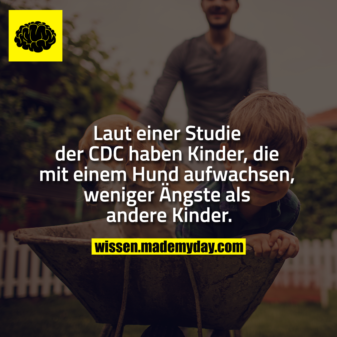 Laut einer Studie der CDC haben Kinder, die mit einem Hund aufwachsen, weniger Ängste als andere Kinder.