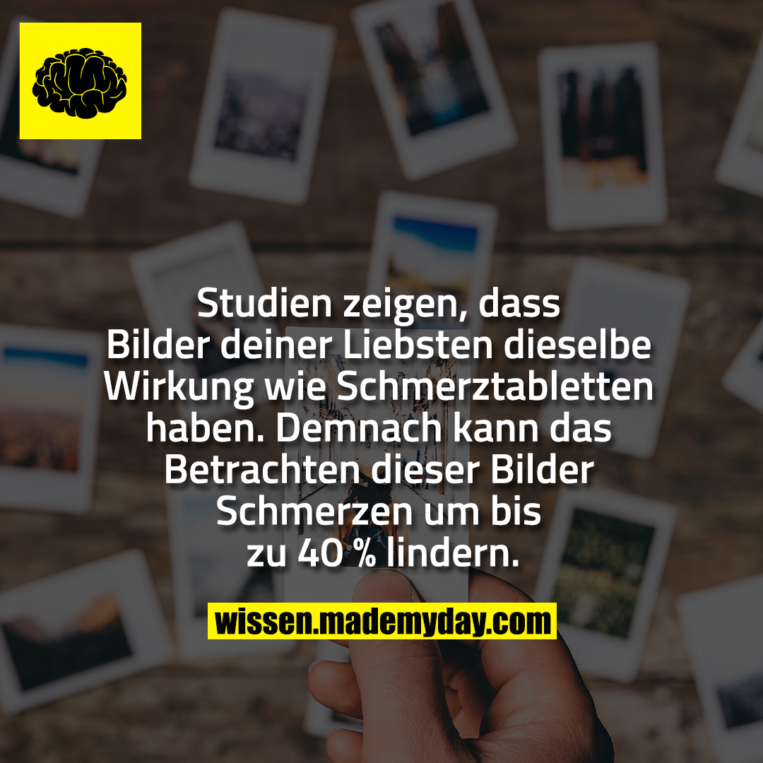 Studien zeigen, dass Bilder deiner Liebsten dieselbe Wirkung wie Schmerztabletten haben. Demnach kann das Betrachten dieser Bilder Schmerzen um bis zu 40 % lindern.
