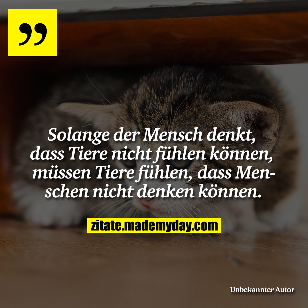 Solange der Mensch denkt,<br />
dass Tiere nicht fühlen können,<br />
müssen Tiere fühlen,<br />
dass Menschen nicht denken können.