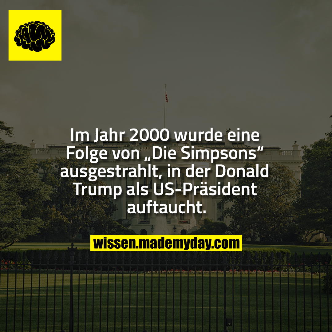 Im Jahr 2000 wurde eine Folge von „Die Simpsons“ ausgestrahlt, in der Donald Trump als US-Präsident auftaucht.