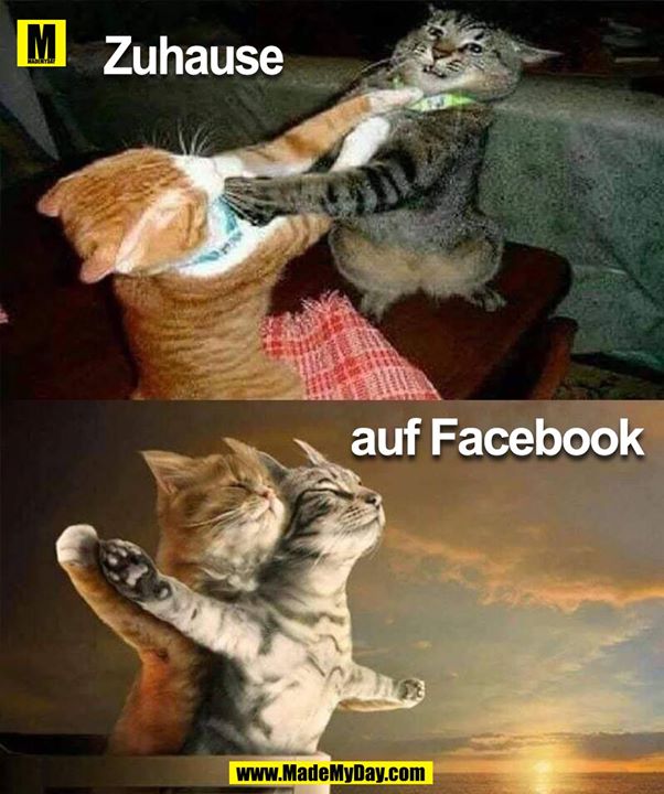 Zuhause<br />
auf Facebook
