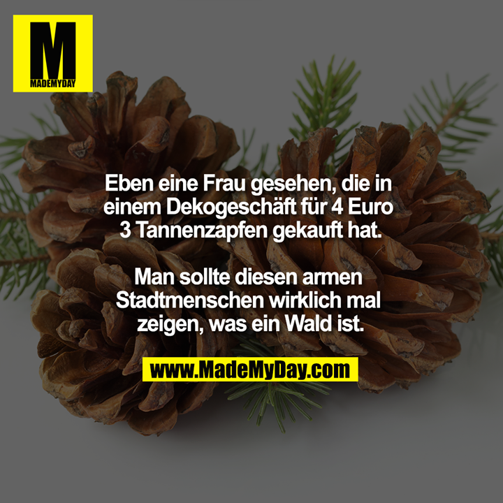 Eben eine Frau gesehen, die in einem Dekogeschäft für 4 Euro 3 Tannenzapfen gekauft hat.<br />
<br />
Man sollte diesen Armen Stadtmenschen wirklich mal zeigen, was ein Wald ist.