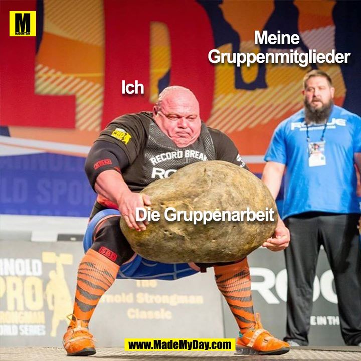 Ich<br />
Die Gruppenarbeit<br />
Meine Gruppenmitglieder