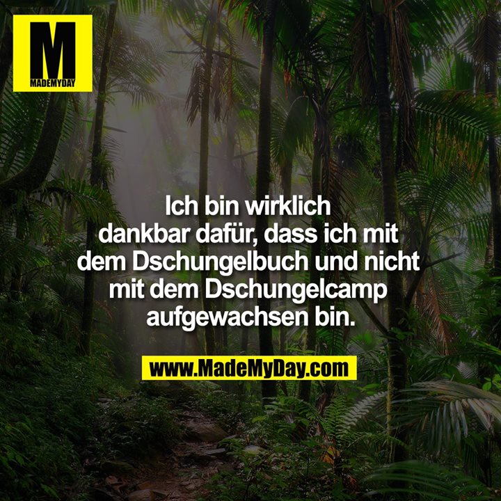 Ich bin wirklich dankbar dafür, dass ich mit dem Dschungelbuch und nicht mit dem Dschungelcamp aufgewachsen bin.