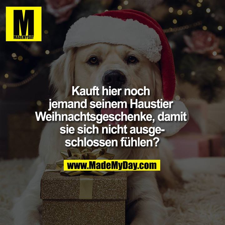 Kauft hier noch jemand seinem Haustier Weihnachtsgeschenke, damit sie sich nicht ausgeschlossen fühlen?