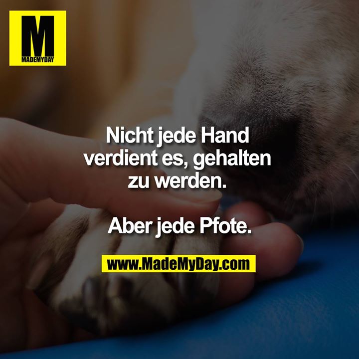 Nicht jede Hand verdient es gehalten zu werden. <br />
<br />
Aber jede Pfote.