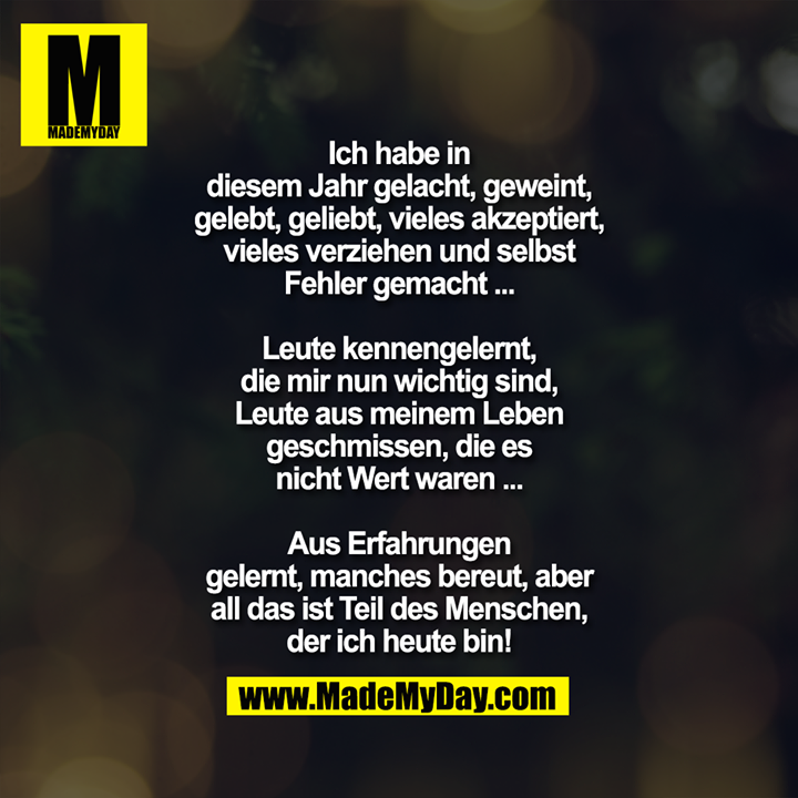 Ich habe in diesem Jahr gelacht, geweint, gelebt, geliebt, vieles akzeptiert, vieles verziehen und selbst Fehler gemacht ...<br />
<br />
Leute kennengelernt, die mir nun wichtig sind, Leute aus meinem Leben geschmissen, die es nicht Wert waren ...<br />
<br />
Aus Erfahrungen gelernt, manches bereut, aber all das ist Teil des Menschen, der ich heute bin!