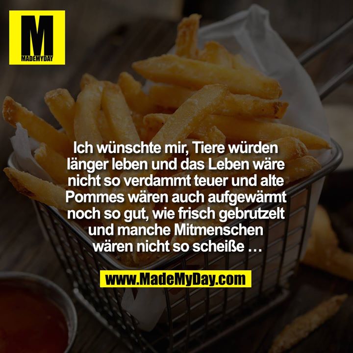 Ich wünschte mir, Tiere würden länger leben und das Leben wäre nicht so verdammt teuer und alte Pommes wären auch aufgewärmt noch so gut, wie frisch gebrutzelt und manche Mitmenschen wären nicht so scheiße …