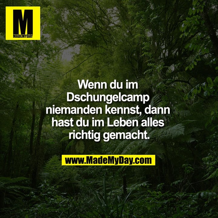 Wenn du im Dschungelcamp niemanden kennst, dann hast du im Leben alles richtig gemacht.